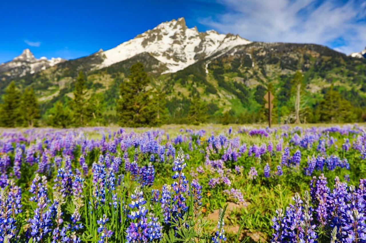 Gravity Haus Jackson Hole Hotel Teton Village Luaran gambar